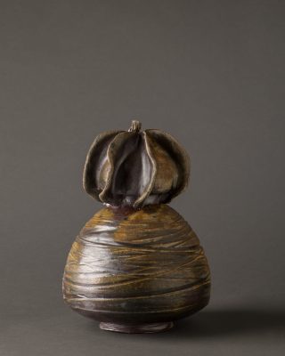 © Alain Auzanneau 008DSN_8847