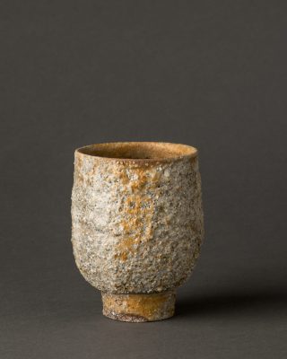 © Alain Auzanneau 016DSN_8874