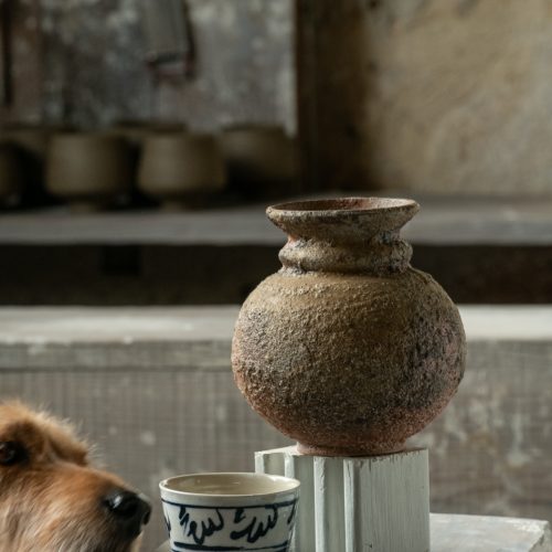 © Alain Auzanneau -3094